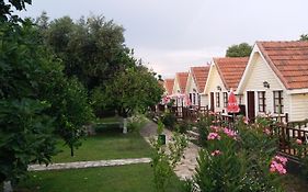 Nova Beach Hotel  2*